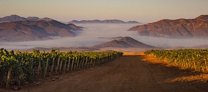 Ensenada